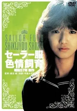 荒野放映员 高清电影